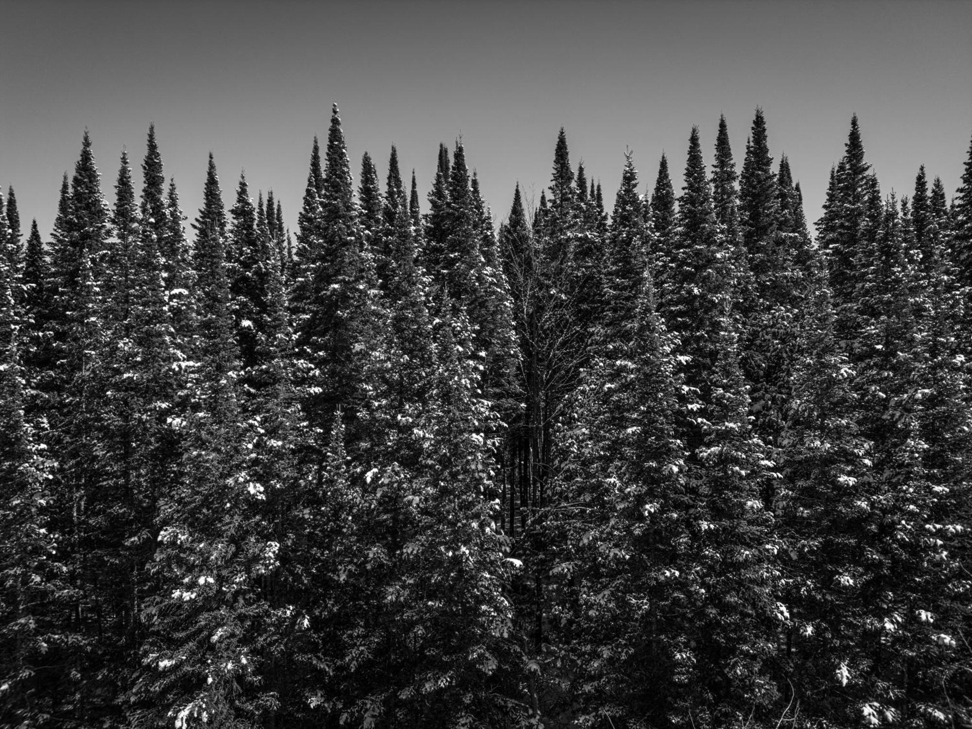 Otsego Resort Гейлорд Экстерьер фото